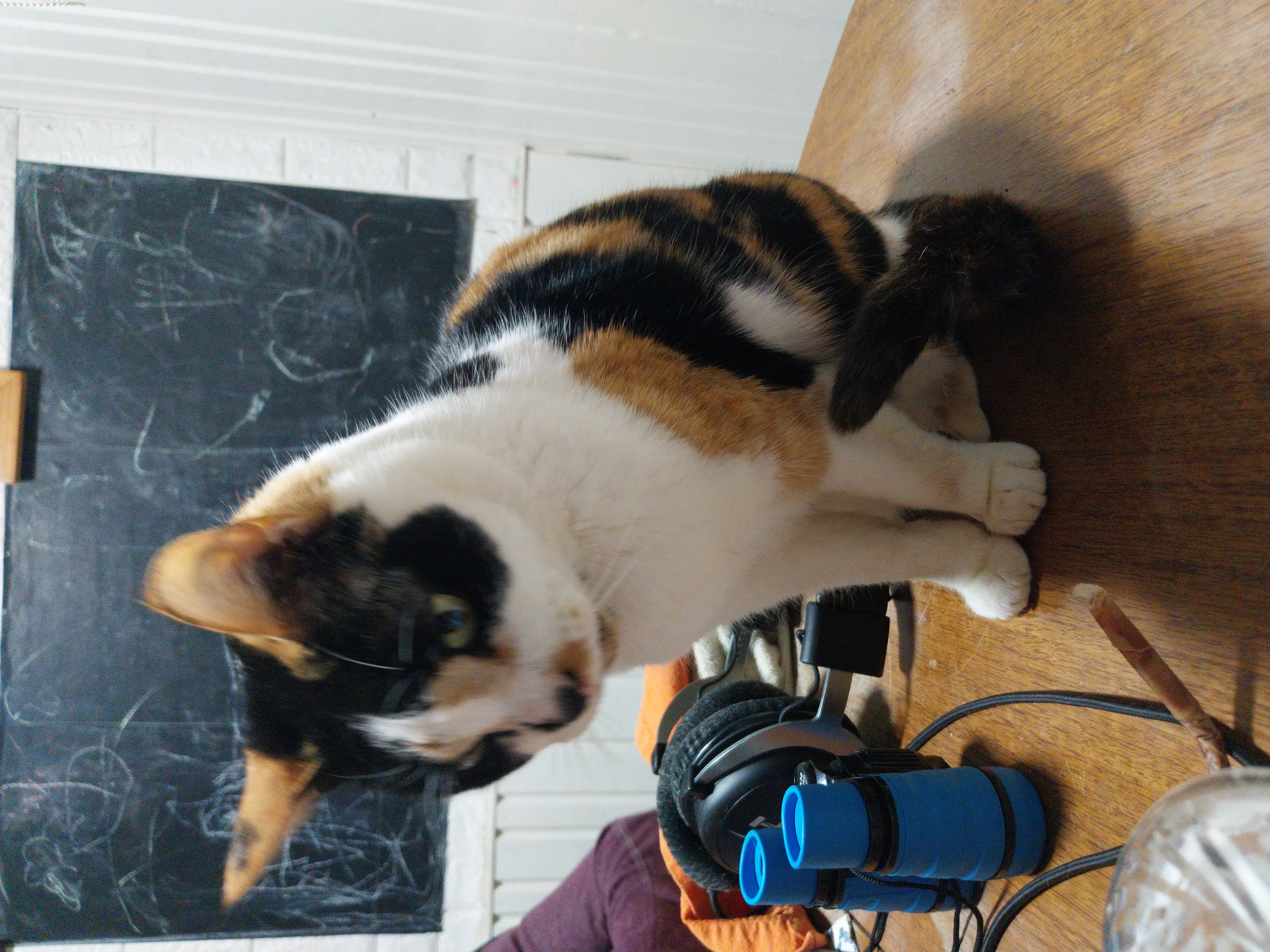 test